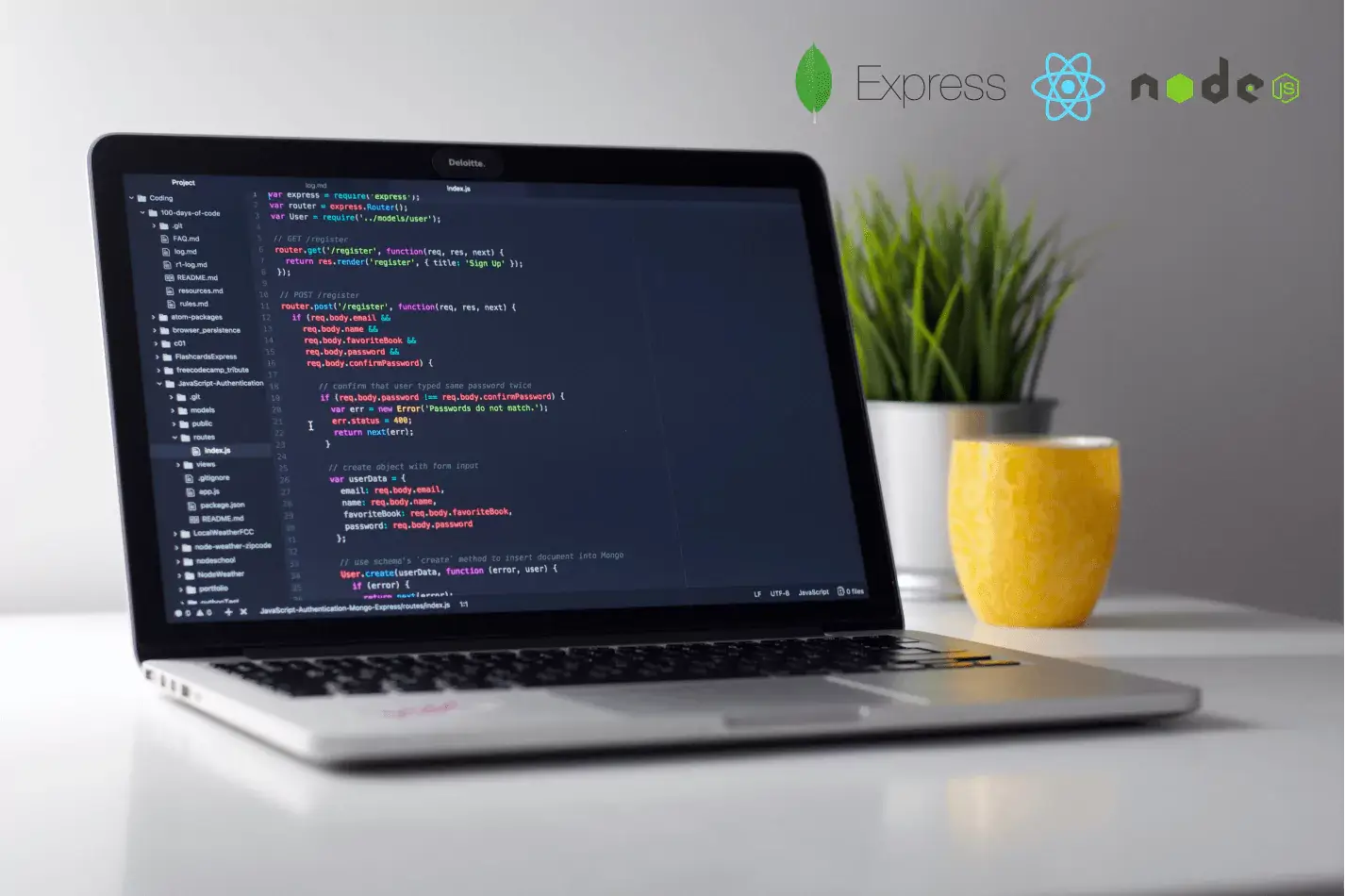 Full Stack Js dev